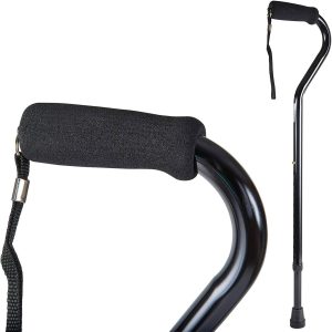 DMI Walking Stick
